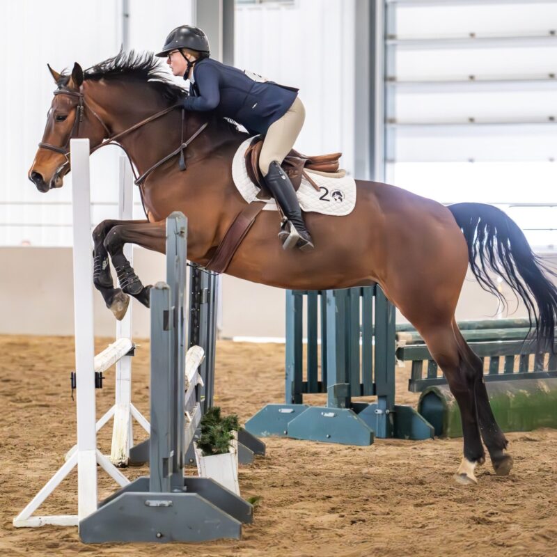 DSC_3229-Enhanced-NR (1)